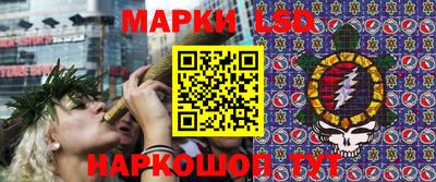 стафф Будённовск